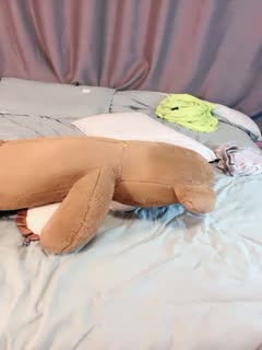 直播纯洁短发萝莉嫩妹子...